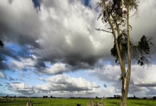 [NBA]战胜利拉德 18岁大学生赢得大奖.