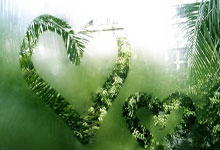 [NBA]战胜利拉德 18岁大学生赢得大奖.