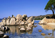 EMC易倍：歐聯｜利物浦挫里爾全勝晉級16強　再獲對手封為世上最佳球隊.